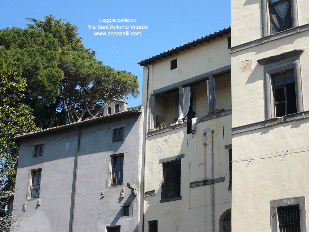 loggia palazzo vico a via sant'antonio viterbo info e foto anna zelli