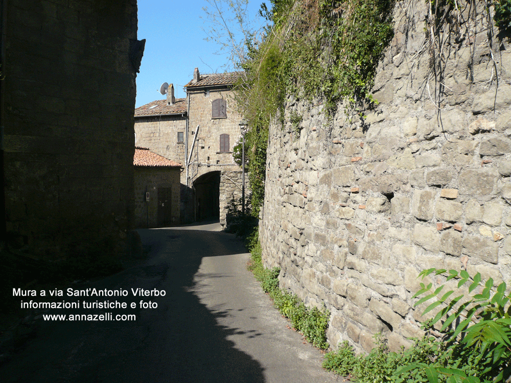 mura a via sant'antonio viterbo info e foto