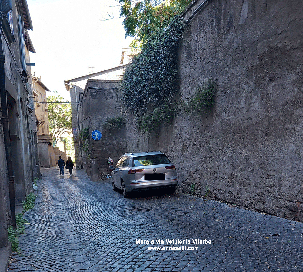 mura a via vetulonia viterbo centro storico info e foto anna zelli