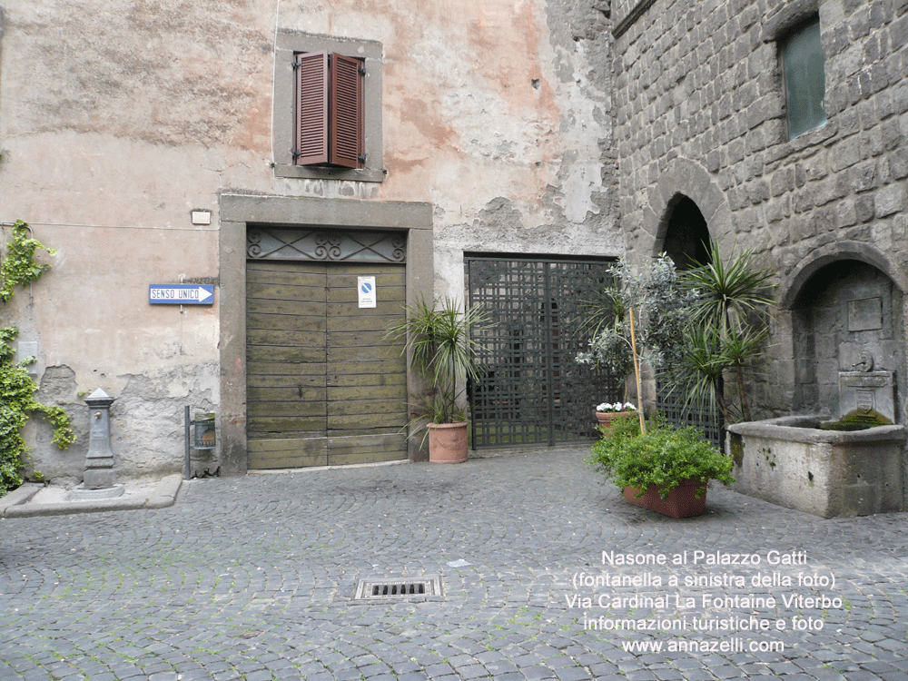 nasone a palazzo gatti via cardinal la fontaine viterbo foto anna zelli