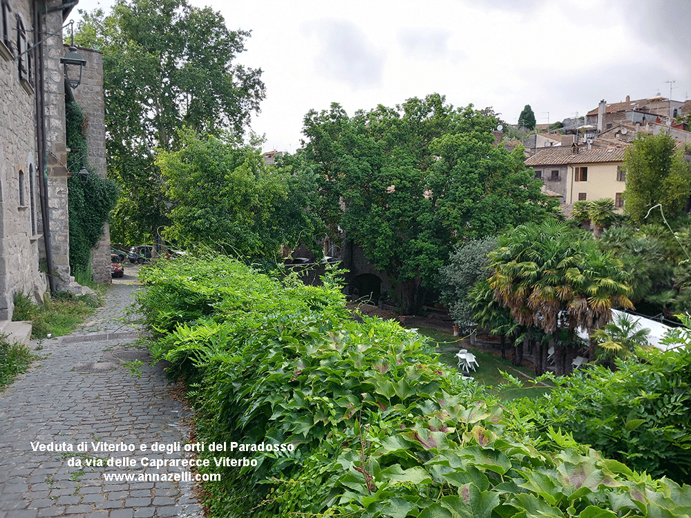 viterbo orti al giardino del paradosso e veduta di viterbo  da via delle Caprarecce Pianoscarano info e foto anna zelli