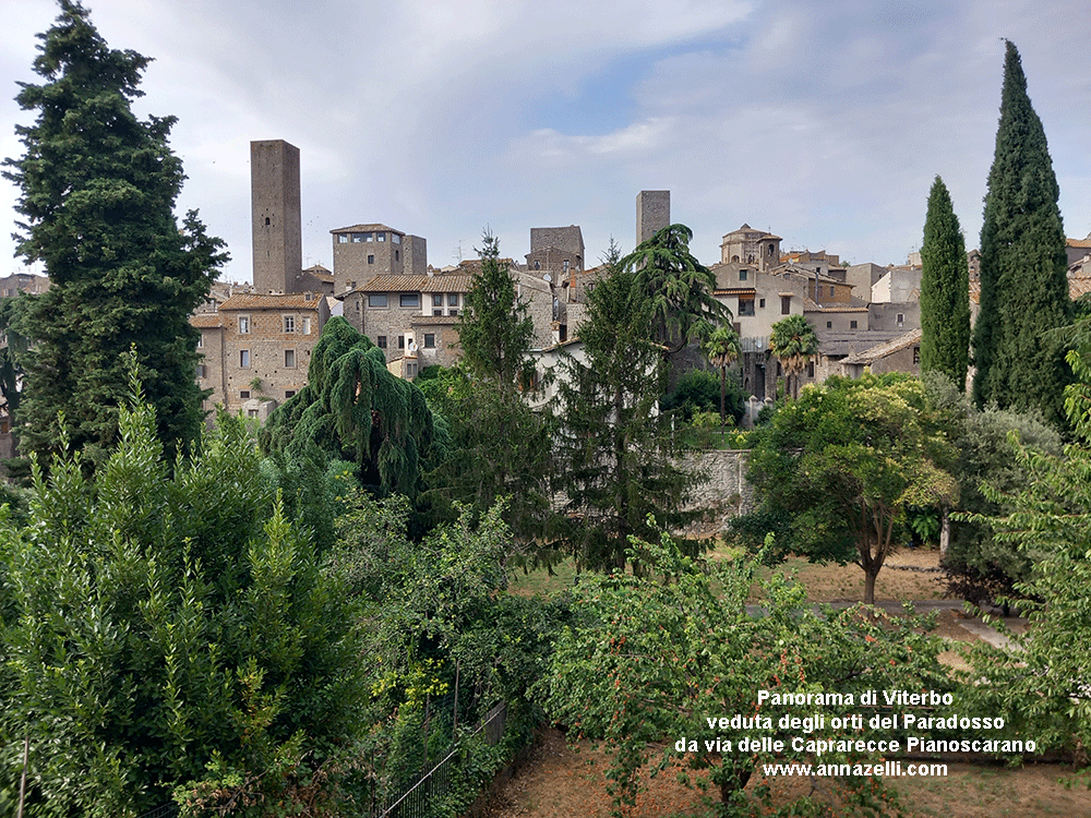 viterbo orti al giardino del paradosso e veduta di viterbo  da via delle aaprarecce pianoscarano info e foto anna zelli