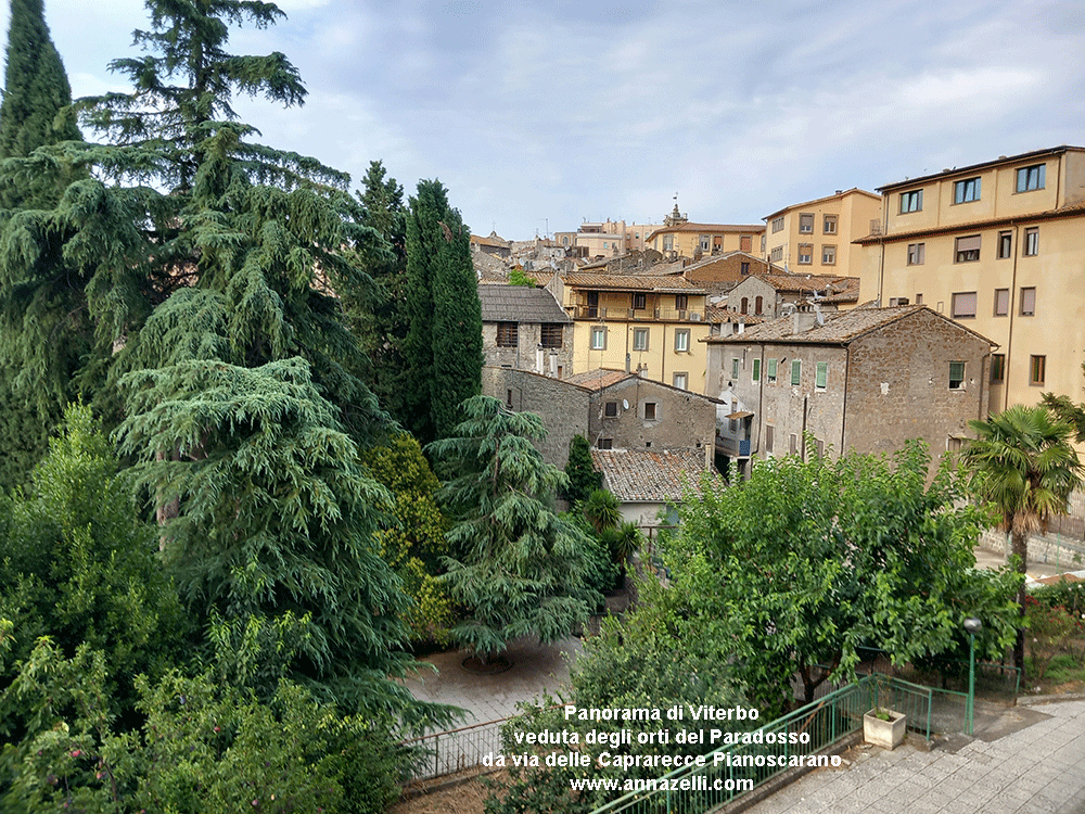 viterbo orti al giardino del paradosso e veduta di viterbo  da via delle aaprarecce pianoscarano info e foto anna zelli