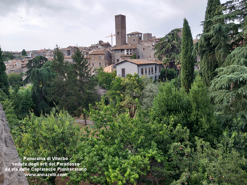 viterbo orti al giardino del paradosso e veduta di viterbo  da via delle aaprarecce pianoscarano info e foto anna zelli