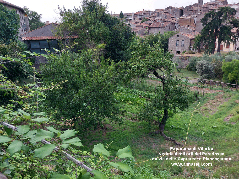 viterbo orti al giardino del paradosso e veduta di viterbo  da via delle aaprarecce pianoscarano info e foto anna zelli