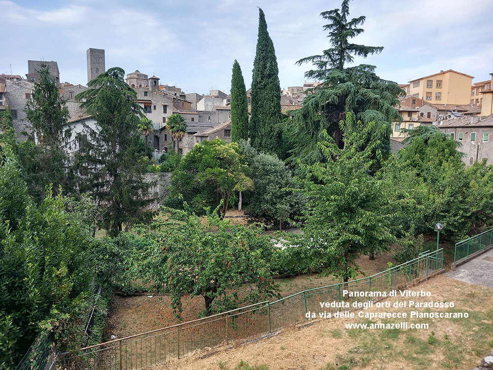 viterbo orti al giardino del paradosso e veduta di viterbo  da via delle aaprarecce pianoscarano info e foto anna zelli