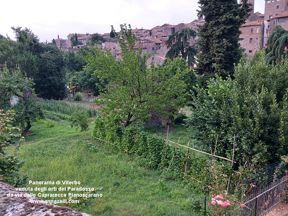 viterbo orti al giardino del paradosso e veduta di viterbo  da via delle aaprarecce pianoscarano info e foto anna zelli