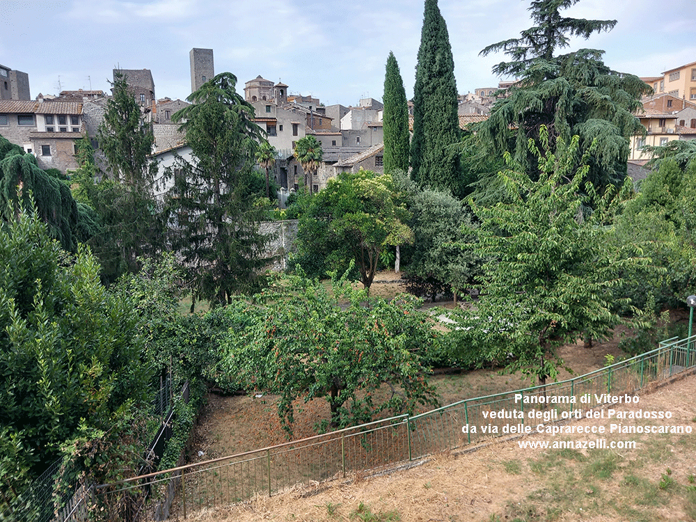 viterbo orti al giardino del paradosso e veduta di viterbo  da via delle aaprarecce pianoscarano info e foto anna zelli