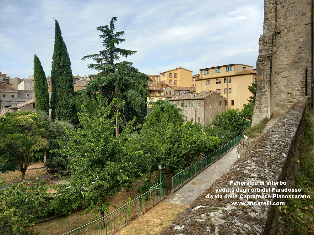 viterbo orti al giardino del paradosso e veduta di viterbo  da via delle aaprarecce pianoscarano info e foto anna zelli