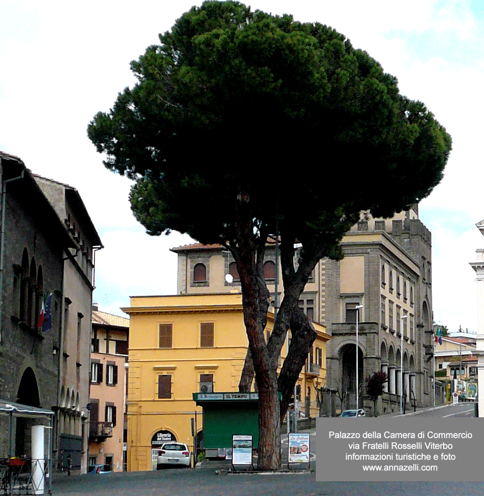 palazzo sede Camera di Commercio Viterbo via Fratelli Rosselli centro storico info e foto Anna Zelli