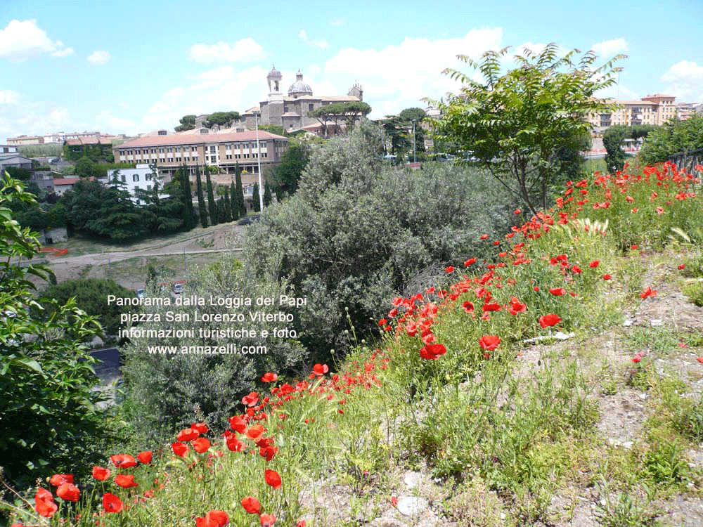 panorama dalla loggia dei papi verso valle faul piazza san lorenzo viterbo foto anna zelli