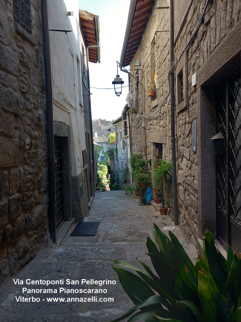 panorama viterbo centro storico su pianoscarano da via centoponti san pellegrino