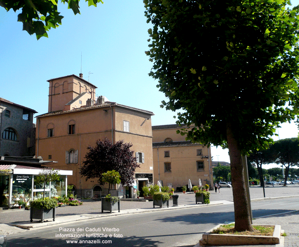 piazza dei caduti viterbo centro info e foto anna zelli