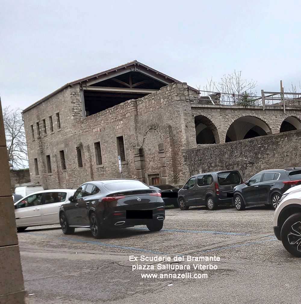 ex scuderie del bramante piazza sallupara viterbo centro info e foto anna zelli