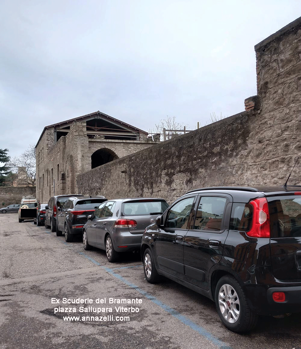 ex scuderie del bramante piazza sallupara viterbo centro info e foto anna zelli