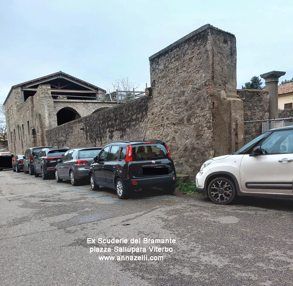 ex scuderie del bramante piazza sallupara viterbo centro info e foto anna zelli