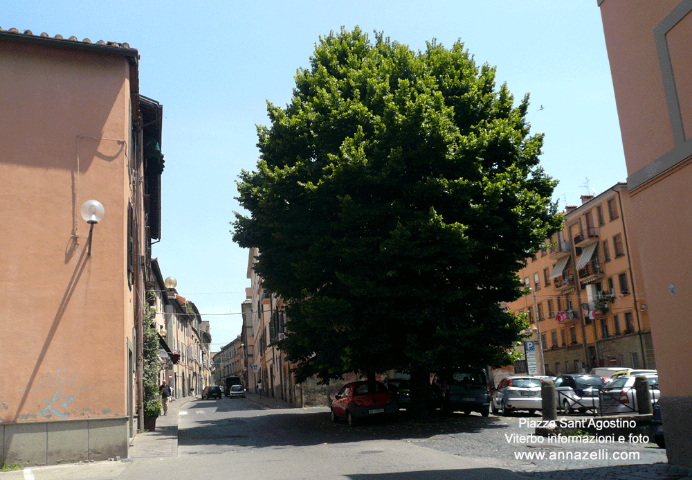 piazza sant'agostino viterbo centro info e foto anna zelli