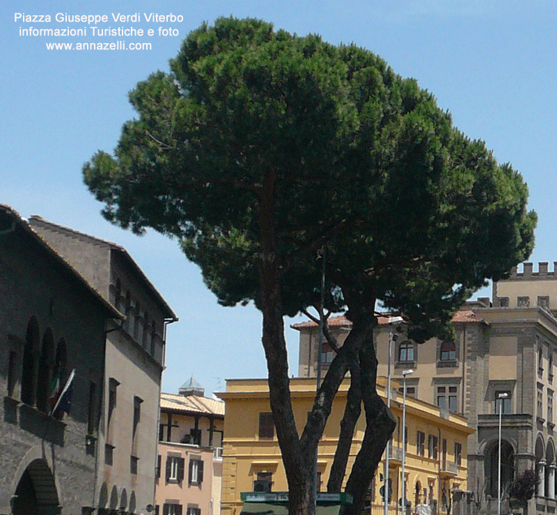 piazza verdi viterbo centro info e foto anna zelli