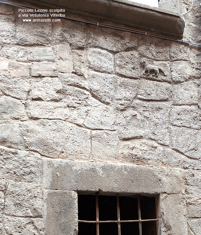 piccolo leone scolpito via del bottalone viterbo centro storico info e foto anna zelli