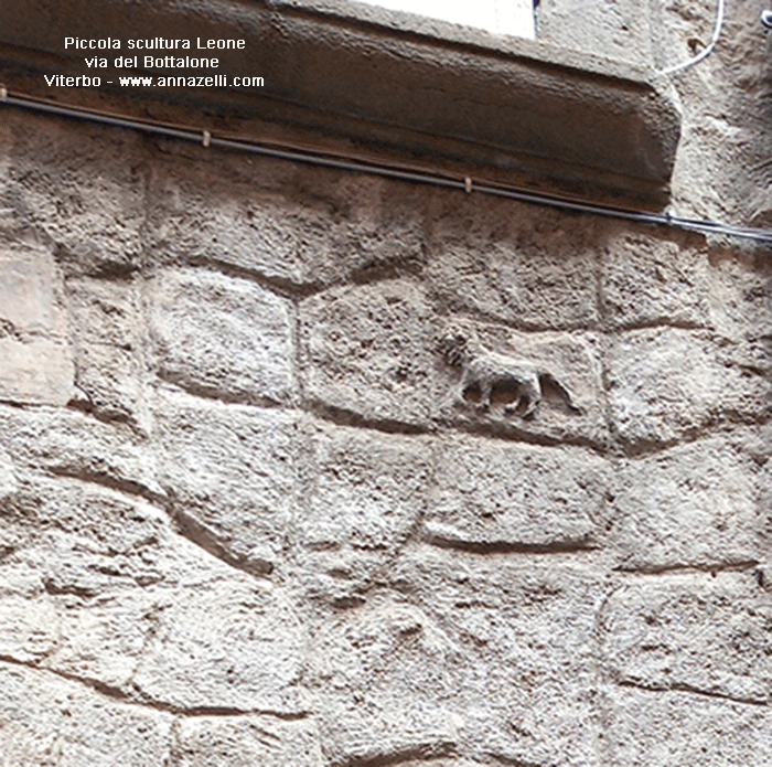 piccolo leone via del bottalone viterbo centro storico info e foto anna zelli