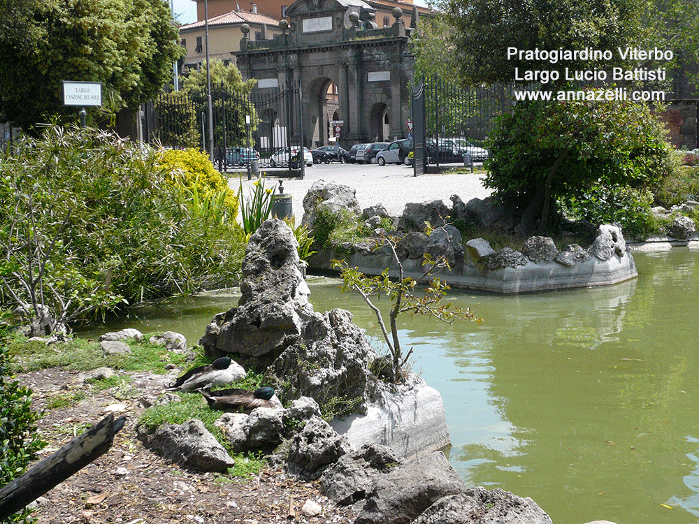 prato viterbogiardino largo lucio battisti