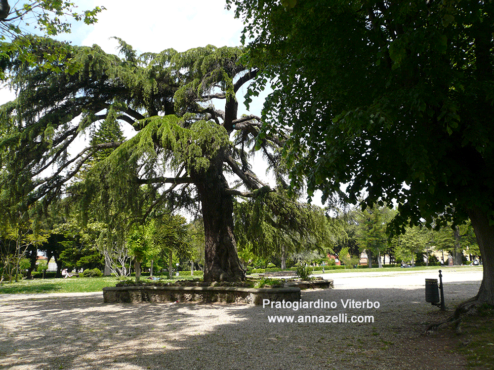 prato giardino viterbo veduta