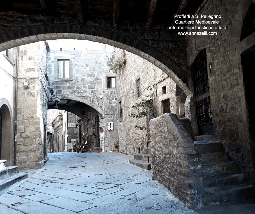 profferli quartiere san pellegrino viterbo centro storico info e foto anna zelli