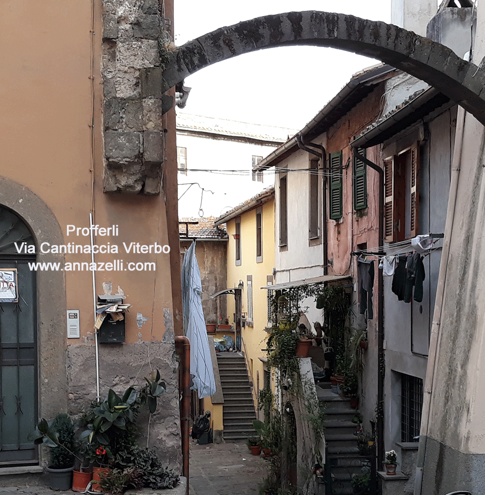 profferlia via della cantinaccia viterbo centro storico