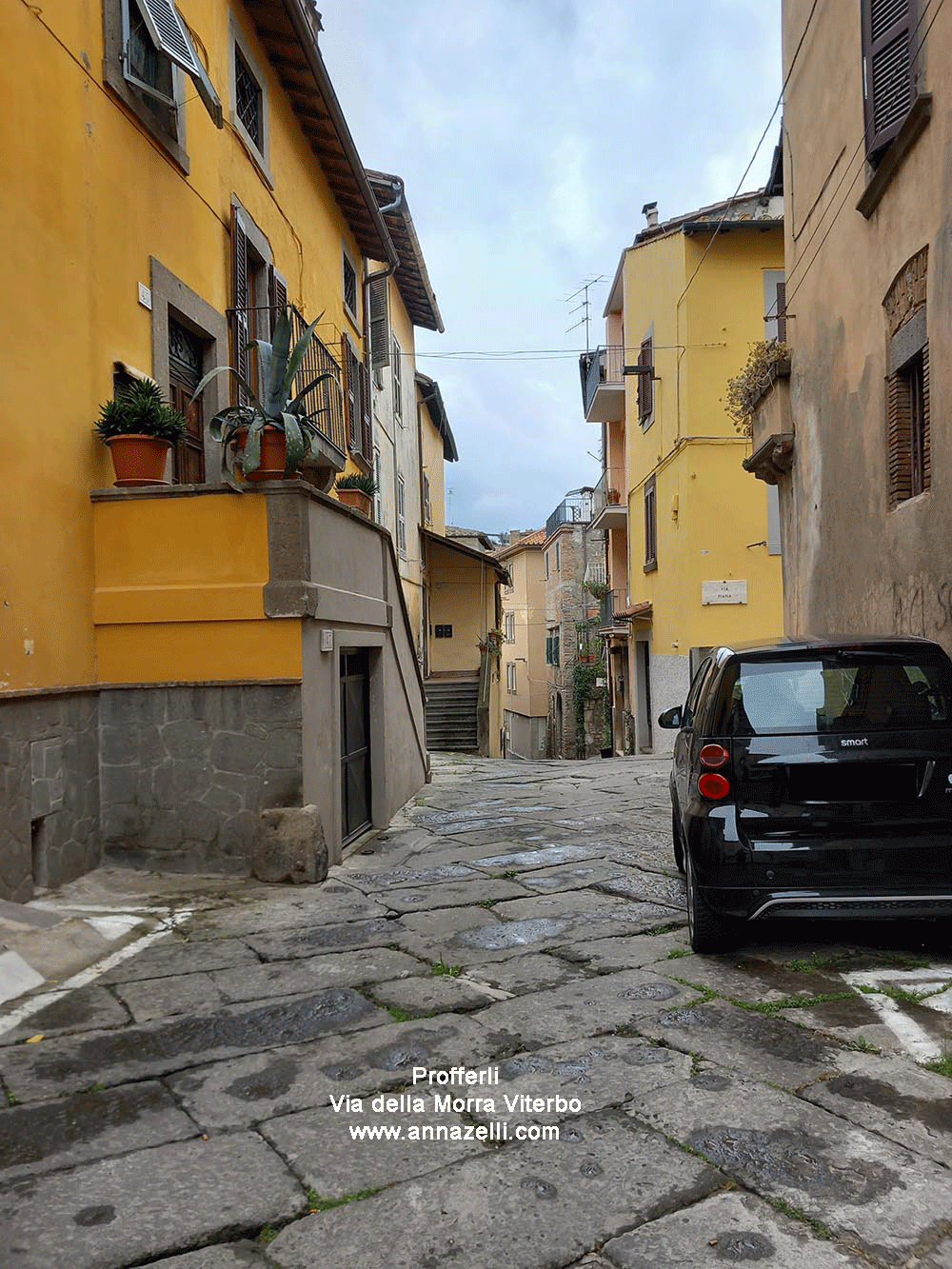 profferlo a via della morra viterbo centro storico info e foto anna zelli