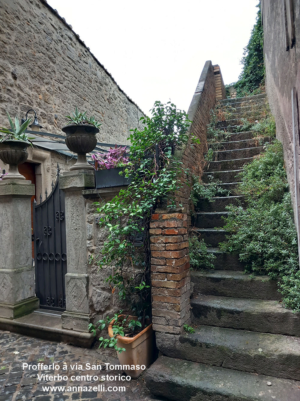 profferlo via san tommaso viterbo centro storico info e foto anna zelli