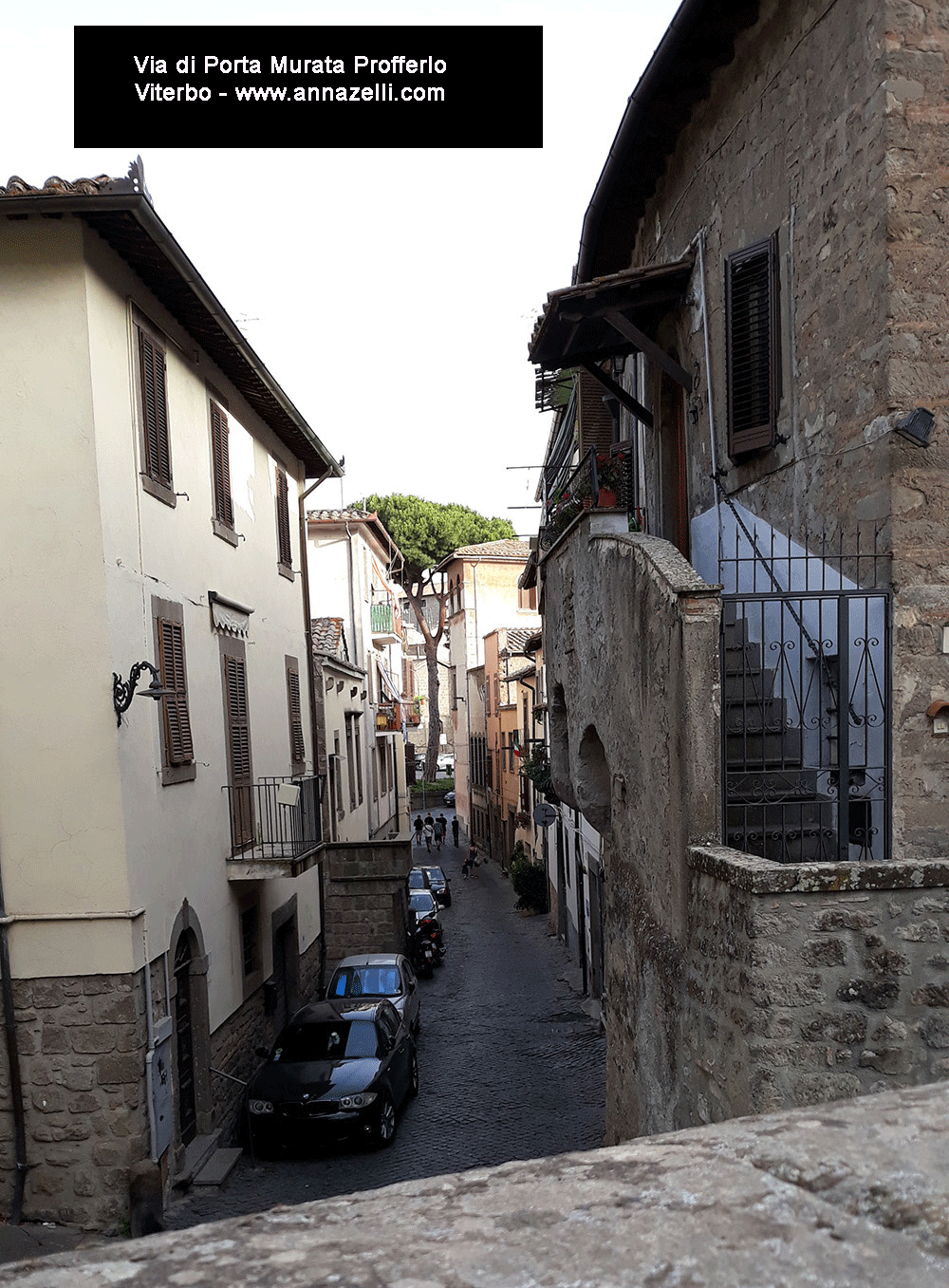 profferlo via di porta murta viterbo info e foto anna zelli