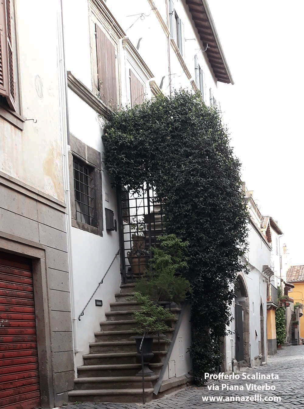 profferlo scalinata via piana viterbo centro storico info e foto anna zelli