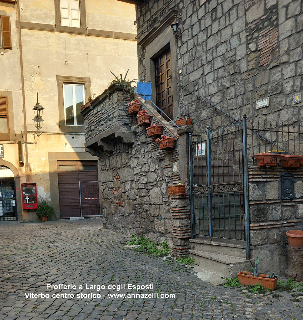 profferlo largo esposti viterbo centro storico info e foto anna zelli