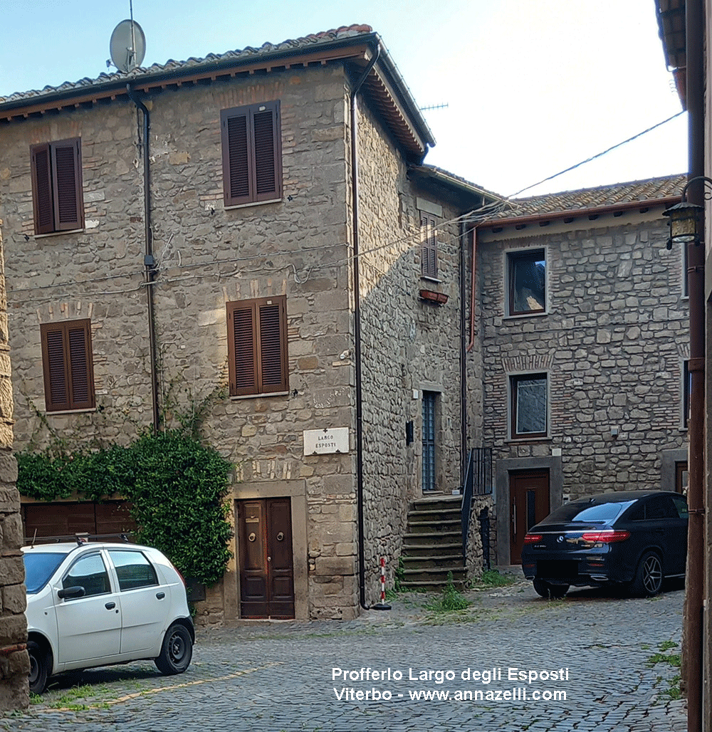 profferlo largo esposti viterbo centro storico info e foto anna zelli