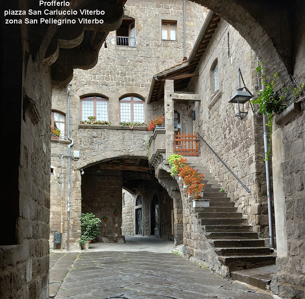 profferlo piazza scacciaricci zona san pellegrino viterbo info e foto anna zelli