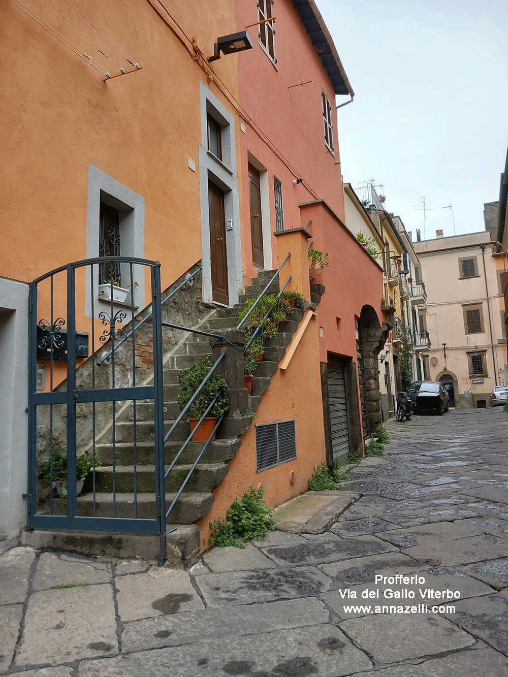 profferlo via del gallo viterbo centro storico info e foto anna zelli