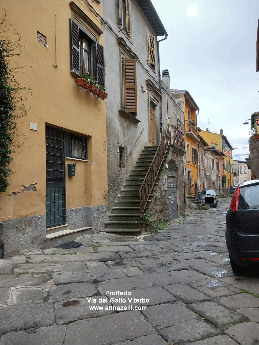 profferlo via del gallo viterbo centro storico info e foto anna zelli