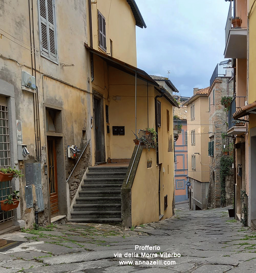 profferlo a via della morra viterbo centro storico info e foto anna zelli