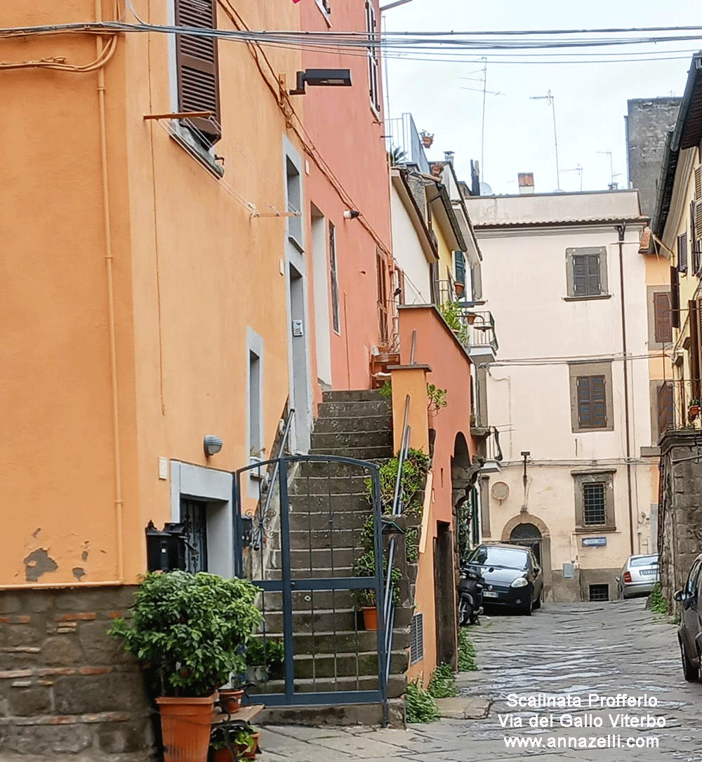 scalinata profferlo via del gallo viterbo centro storico info e foto anna zelli