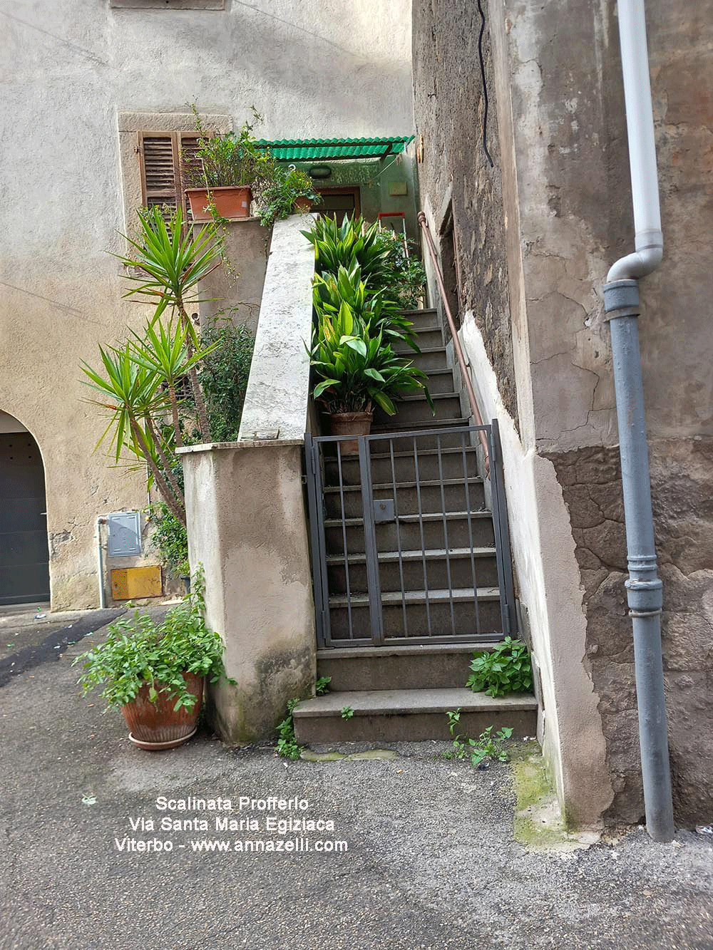 scalinata profferlo via santa maria elisabetta viterbo info e foto anna zelli
