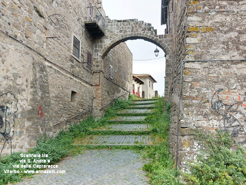 scalinata a via delle Caprarecce viterbo info e foto anna zelli