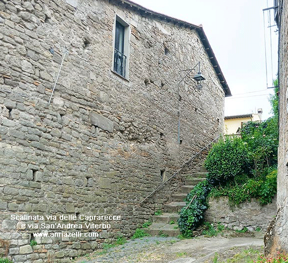 scalinata a via delle caprarecce viterbo indo e foto anna zelli