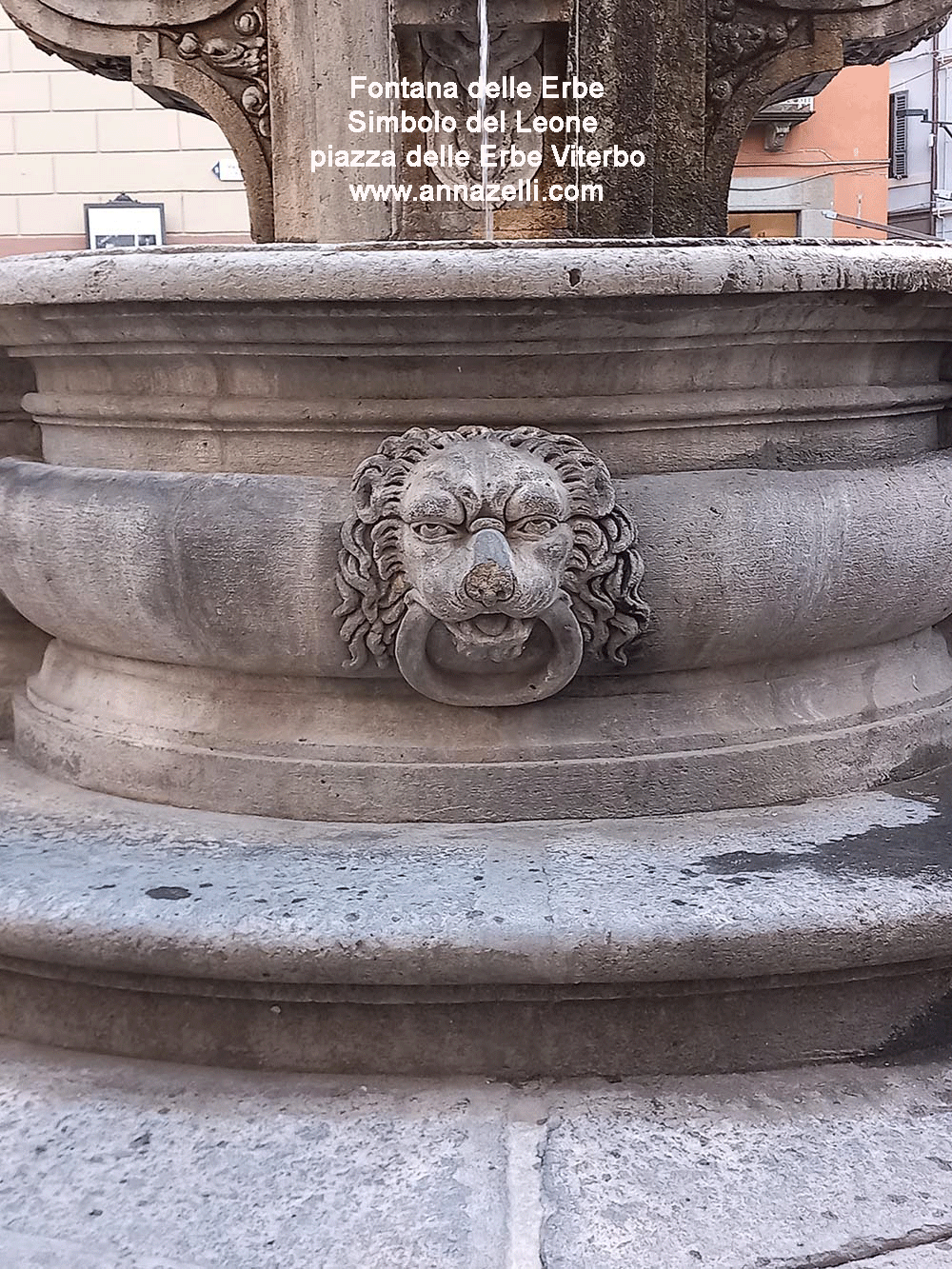 stemma simbolo del leone fontana piazza delle erbe viterbo info e foto anna zelli