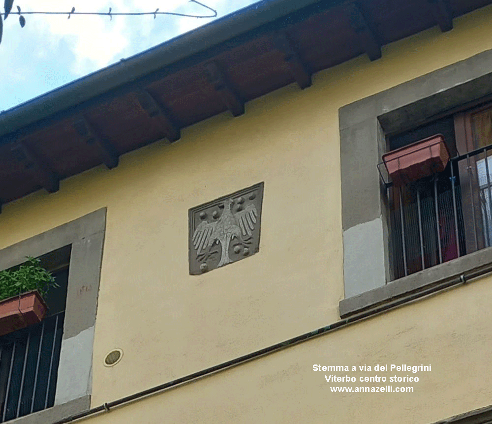 stemma famiglia di vico via dei pellegrini viterbo centro storico info foto anna zelli 