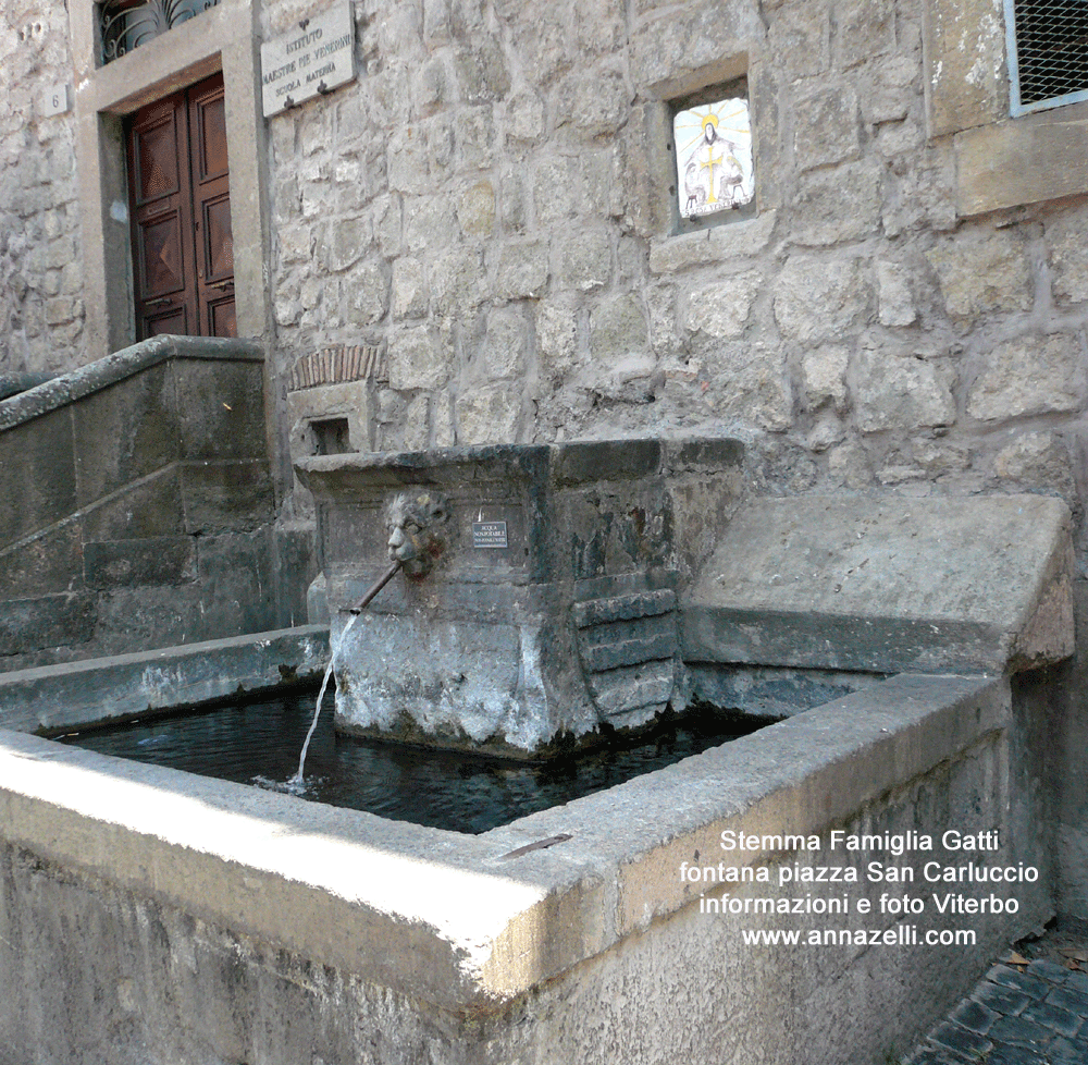 stemma famiglia gatti alla fontana di piazza san carluccio viterbo info e foto anna zelli