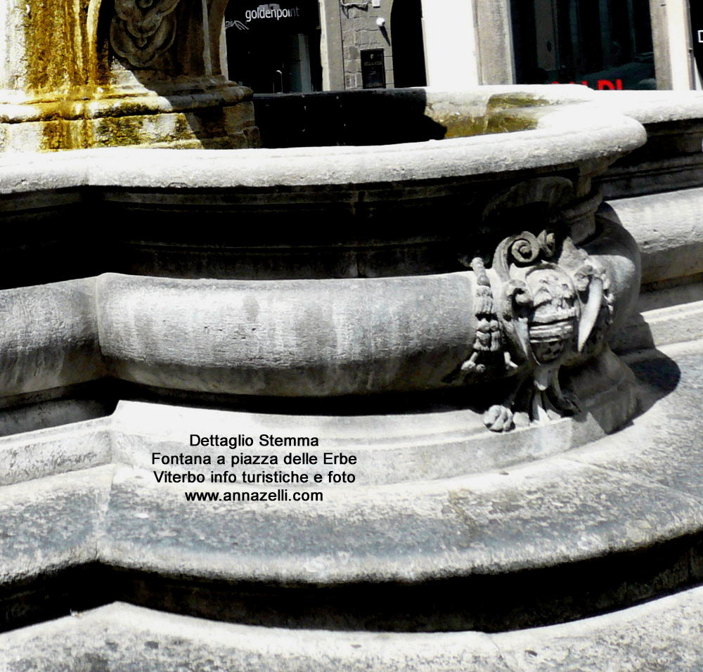 stemma fontana piazza delle erbe viterbo centro storico info foto anna zelli