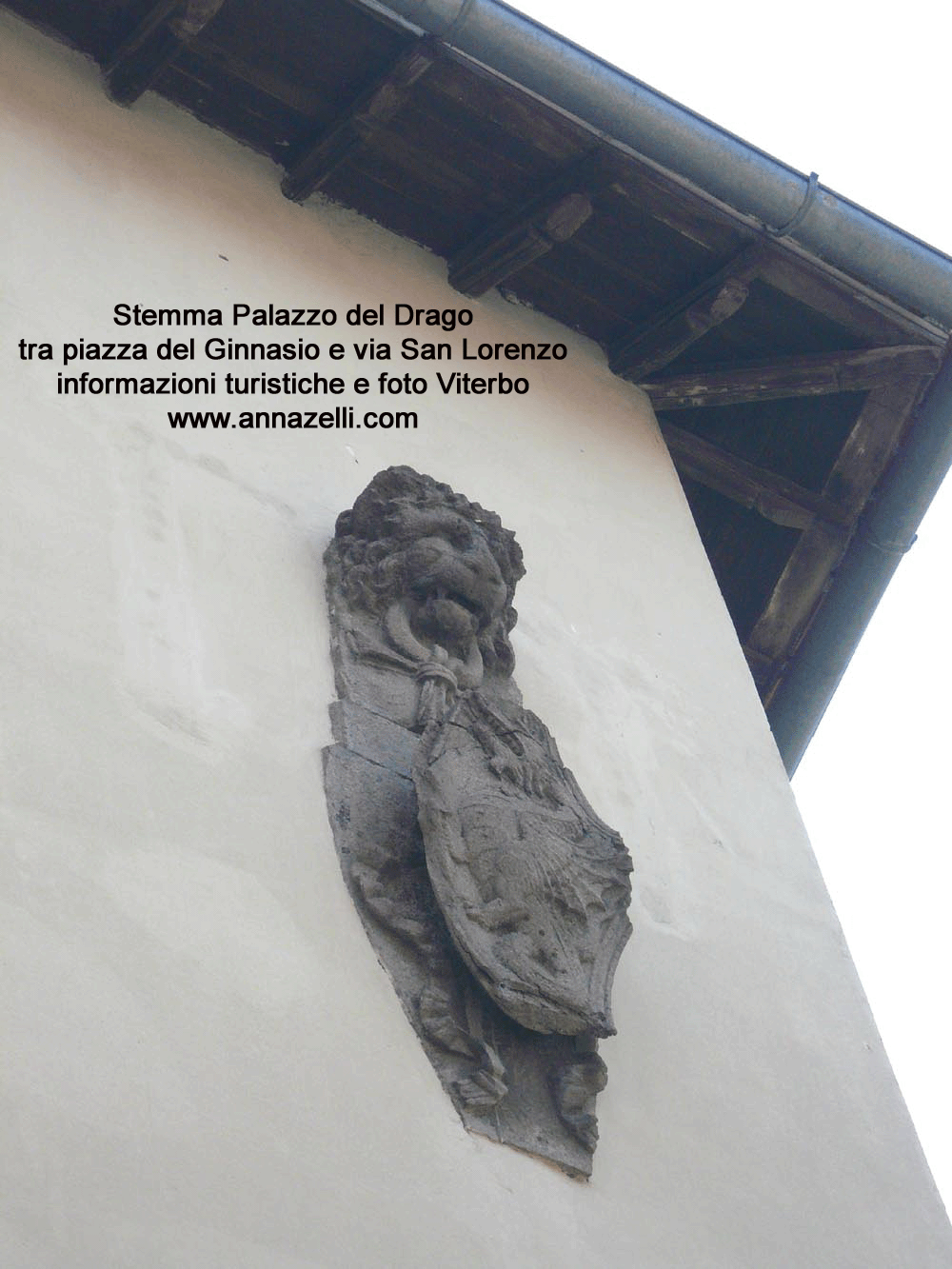 stemma palazzo del drago ponte san lorenzo via san lorenzo viterbo foto anna zelli