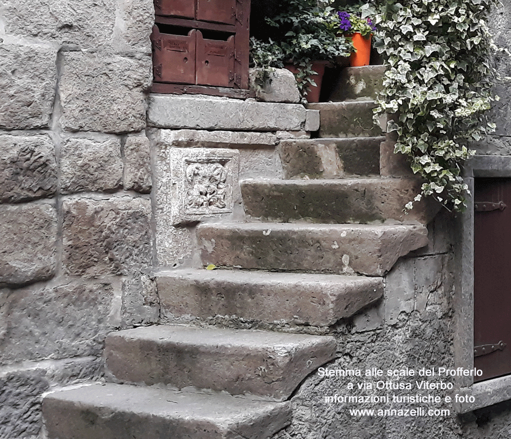 stemma alle scaledel proffelo di via ottusa viterbo info e foto anna zelli