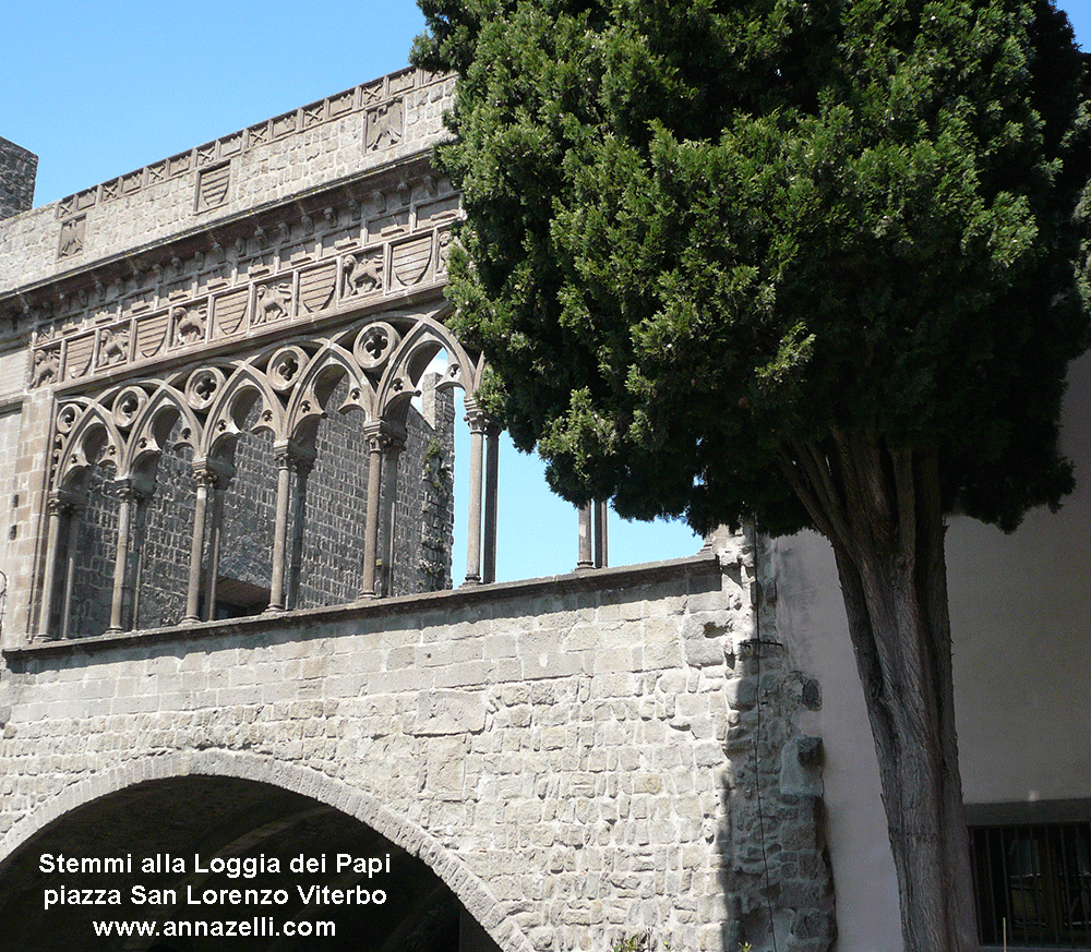 stemmi alla loggia dei Papi piazza san Lorenzo Viterbo info foto anna zelli