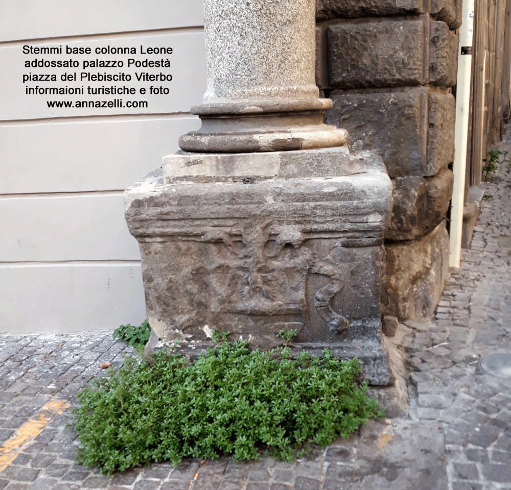stemmi alla base colonna leone addossato palazzo podest piazza plebiscito viterbo info foto anna zelli